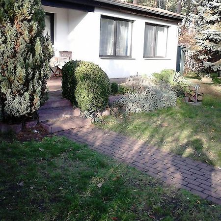 Ferienhaus Pauline Am See Mullrose ห้อง รูปภาพ