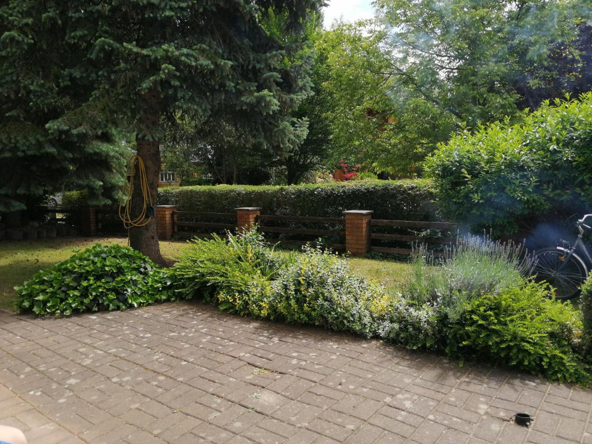 Ferienhaus Pauline Am See Mullrose ภายนอก รูปภาพ