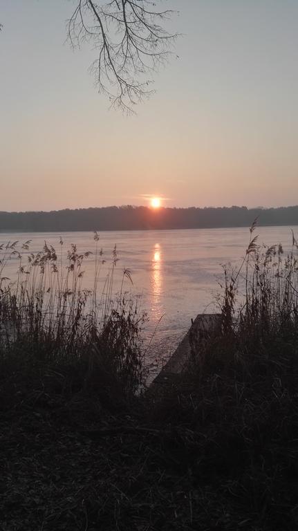 Ferienhaus Pauline Am See Mullrose ภายนอก รูปภาพ
